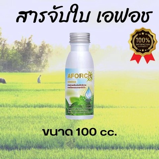 เอฟอช สารจับใบ ปริมาณ 100 ml ชนิดพิเศษ คุณภาพสูงใช้ได้กับทุกพืช