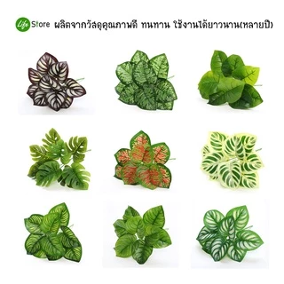 ต้นไม้ประดับหลากสไตล์หลายชนิด รุ่นขนาดใบ 10*12cm ต้นไม้ประดิษฐ์ สวยงามเสมือนจริง (พร้อมส่งในไทย ถึงเร็วทันใจ)