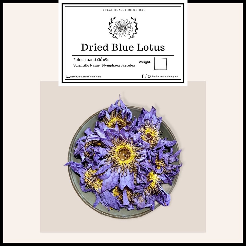 BULK Organic Blue Lotus Tea 500G ชาดอกบัวอบแห้งออแกนิค (Nymphaea Caerulea)