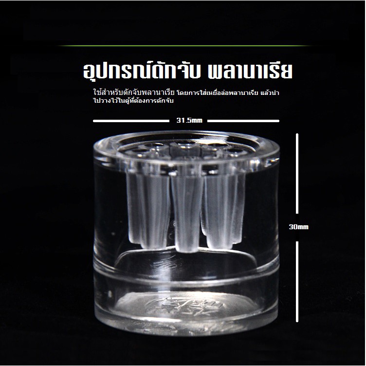 ดักจับพลานาเรีย (หนอนตัวแบน)ในตู้ปลา เครื่องดักจับพลานาเรีย 8 หลุม อะคริลิค สินค้าพร้อมจัดส่ง