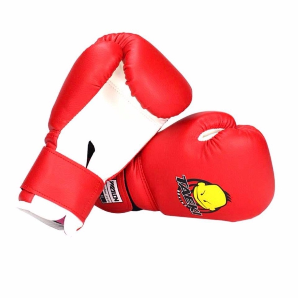 hayashi boxing gloves