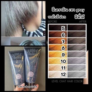 Zowiie/ocdai3 ทรีทเม้นเปลี่ยนสีผม สี gray แพ็คเก็จใหม่