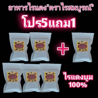 จัดโปร 5 แถม1 อาหารไรแดง ตราไรสมบูรณ์ ไม่ต้องใช้น้ำเขียว ไม่ต้องใช้อ็อกซิเจน น้ำไม่เน่าไม่เสีย ขนาด1ซอง=120กรัม