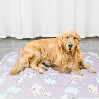 PetStern แผ่นรองฉี่สุนัขซักได้ รองฉี่สุนัข ซึมซับไดีดี แผ่นฝึกขับถ่าย ใช้ซ้ำได้
