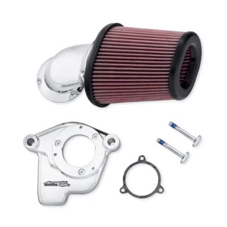 Screamin Eagle Heavy Breather Extreme Air Cleaner