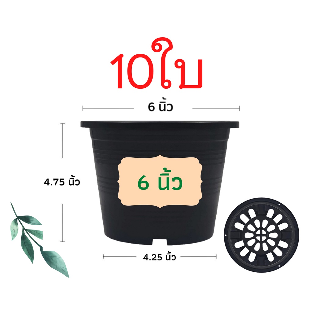 กระถางต้นไม้พลาสติก กระถางต้นไม้ กระถางแคตตัส สีดำ 6 นิ้ว 10ใบ ราคาส่ง