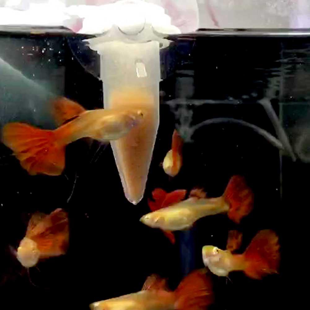 Pawfly Aquaium Bloodwom Feede - Floating Ed Wom Feeding