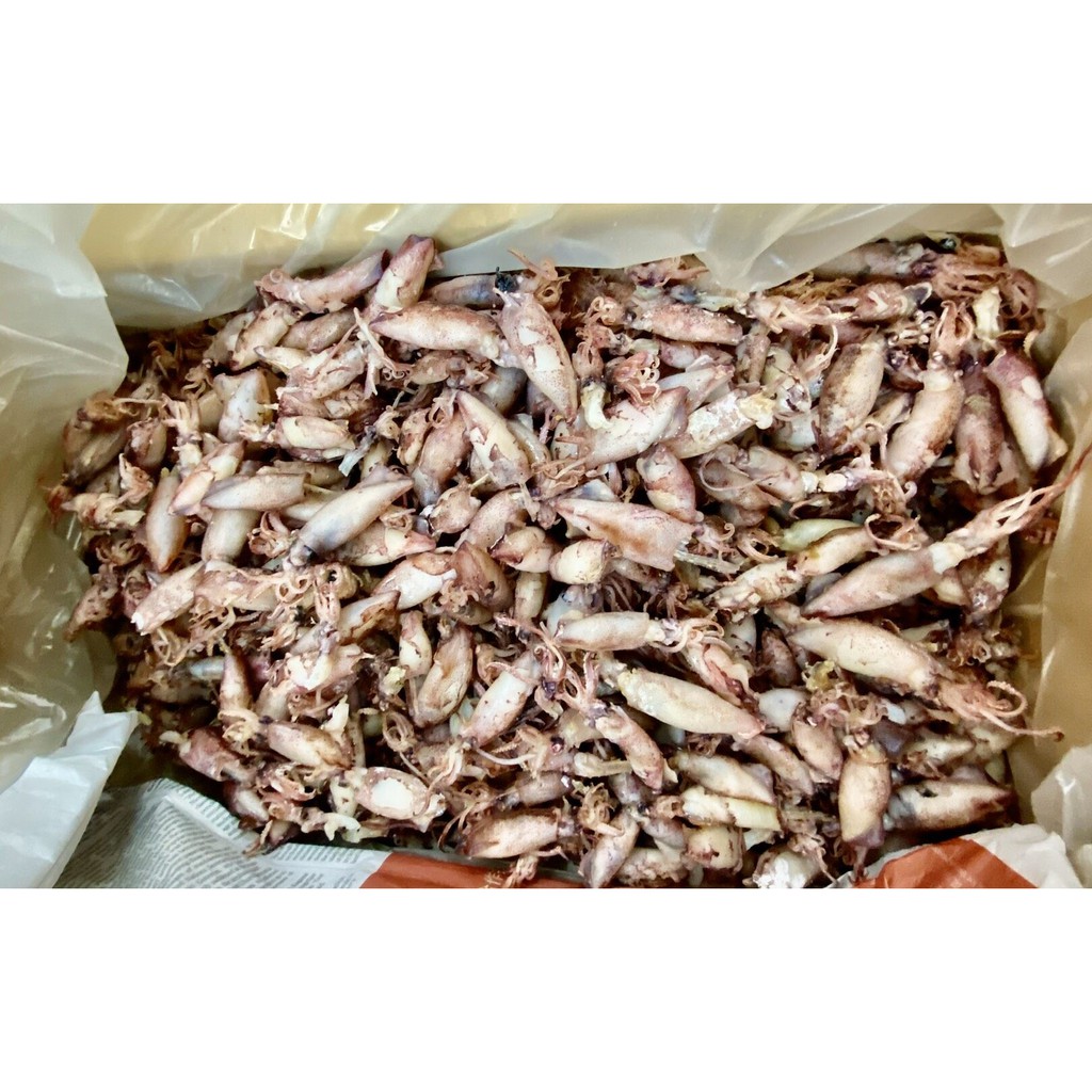 ปลาหมึกกะตอยต้ม น้ำหนัก 500กรัม sw7u