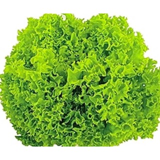 กรีนคอรัล green coral 100 pills (ไม่เคลือบ)
