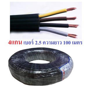 สายไฟดำ หุ้ม ฉนวน 2 ชั้น เบอร์ 2.5 VCT 4x2.5 1ขด 100เมตร สาย4ไส้ 4แกน สายมอเตอร์ กำลังไฟสูงหรือใช้งานเครี่องจักร