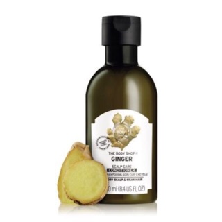 The body shop ginger conditioner 400 ml 590฿