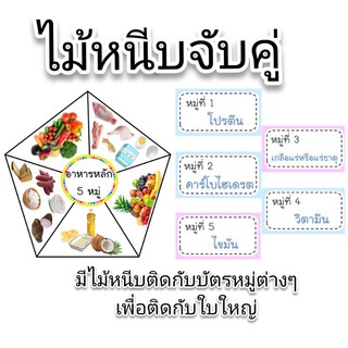 ไม้หนีบอาหารหลัก5หมู่