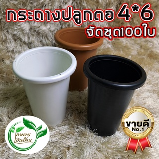 [โค๊ดส่วนลด 60บาท]เกษตรเงินล้าน กระถางทรงสูง 4*6 อย่างดี งานไทยแพ๊ค 50/100 ใบ By.คิม เกษตรเงินล้าน