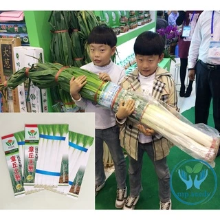 เมล็ดต้นหอมญี่ปุ่น 1,500 เมล็ด ( 4.5 - 5 กรัม ) Japanese Bunching Onion สายพันธุ์OP