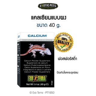 Exo Terra Calcium Powder Supplement 40G แคลเซียมสำหรับสัตว์เลื้อยคลาน