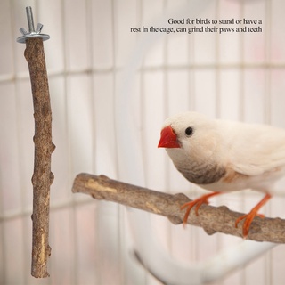 ไม้ธรรมชาติ Parrot Stand Holder Paw Grinding Perch Bird Chew แขวนของเล่นกรง