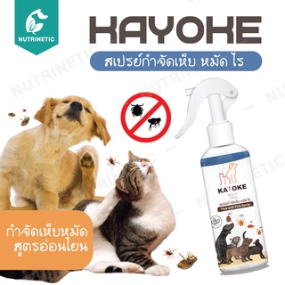 Kayoke Spray สเปรย์กำจัดเห็บหมัด สูตรอ่อนโยน จากสารสกัดธรรมชาติ 100% กำจัดเห็บหมัด เห็บหมัด กำจัดเห็บหมัดสุนัข ยาแก้เห็บ