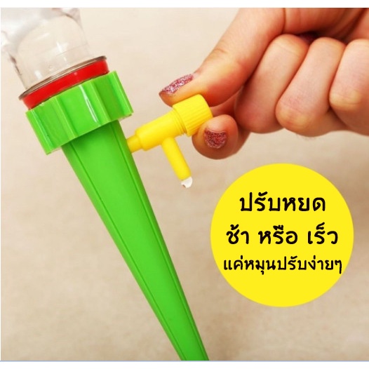 รูปภาพ 3