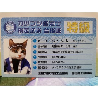 Nameneko Japanese Cat Card Rare by Satoru Tsuda 1980s ชุดที่ 01