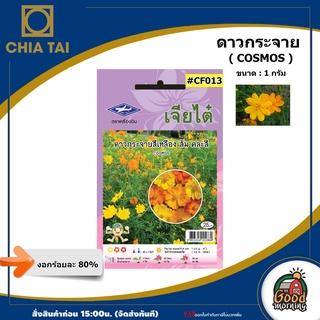 ดอกไม้ เจียไต๋ ดาวกระจายสีเหลือง ส้ม คละสี #CF013 ดอกไม้ซอง ผักซอง เมล็ดพันธุ์ เมล็ดพันธุ์ดอกไม้ ดอกไม้เจียไต๋