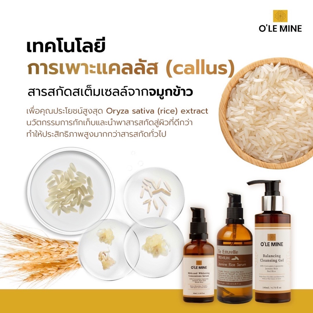 ฝ้าหนา รูขุมขนกว้าง ลดด้วย O’Lemine & Te emzelle serum ราคา ถูกที่สุด ดีลบีเคเค แกลเลอรีภาพที่ 7