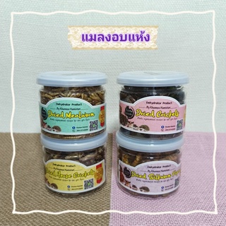 จิ้งหรีด หนอนไหม สะดิ้ง หนอนนกอบแห้ง 45g