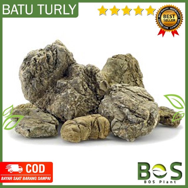 Bosplant - Turly Stone Aquascape Turli หินประดับ