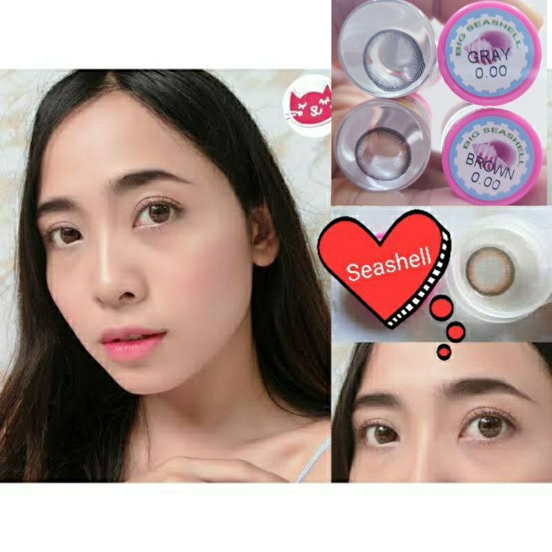 💖 Kitty kawaii Big Seashell ( Seeshell , Monday ) สายตา -00 ถึง -1000 brown gray Contactlens บิ๊กอาย