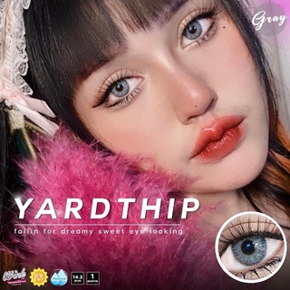 คอนแทคเลนส์ ตาคม สายแซ่บ Yardthip gray 🤩♥️