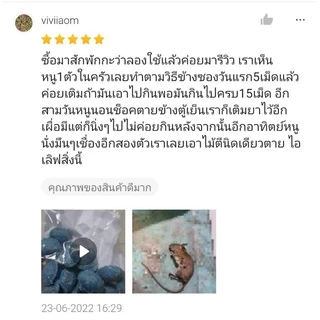 เหยื่อกำจัดหนู ขนาด 50-60 เม็ด เหยื่อกำจัดหนูสูตรตายแห้ง ไม่มีกลิ่น สะตอมกำจัดหนู สะตอมยาเบื่อหนู สตฟ้า