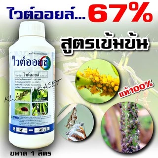 ไวท์ออยล์ ไวต์ออยล์ ช่วยคุมไข่แมลง ขนาด 1 ลิตร ไวท์ออยต์ ไวท์ออยด์ ไวออย