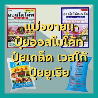 แบ่งขาย! ปุ๋ยออสโมโค้ทสูตร3เดือนและเร่งดอก6เดือน ปุ๋ยยูเรียเม็ดโฟม ปุ๋ยเกล็ดเวสโก้ ขนาด100กรัมและ50กรัม