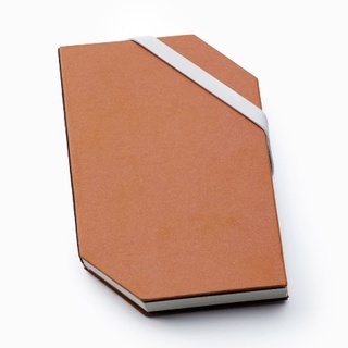 labrador Notebook Triangle S (plain) green read สมุดโน๊ตแบบตัดมุม (ไม่มีเส้น) LAP034