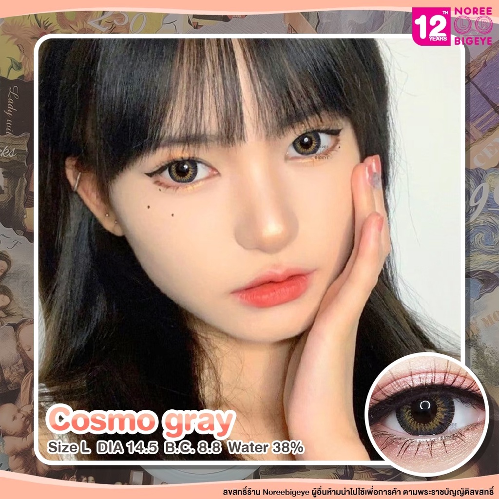 Cosmo Gray/สีเทา [สายตาสั้น -0.00 ถึง -10.00] Size Bigeye (L) ขนาดใหญ่ / คอนแทคเลนส์ / ยี่ห้อ Pretty