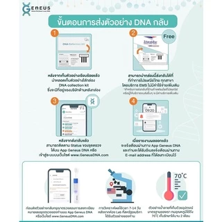 Geneus DNA Standard (สแตนดาร์ด)