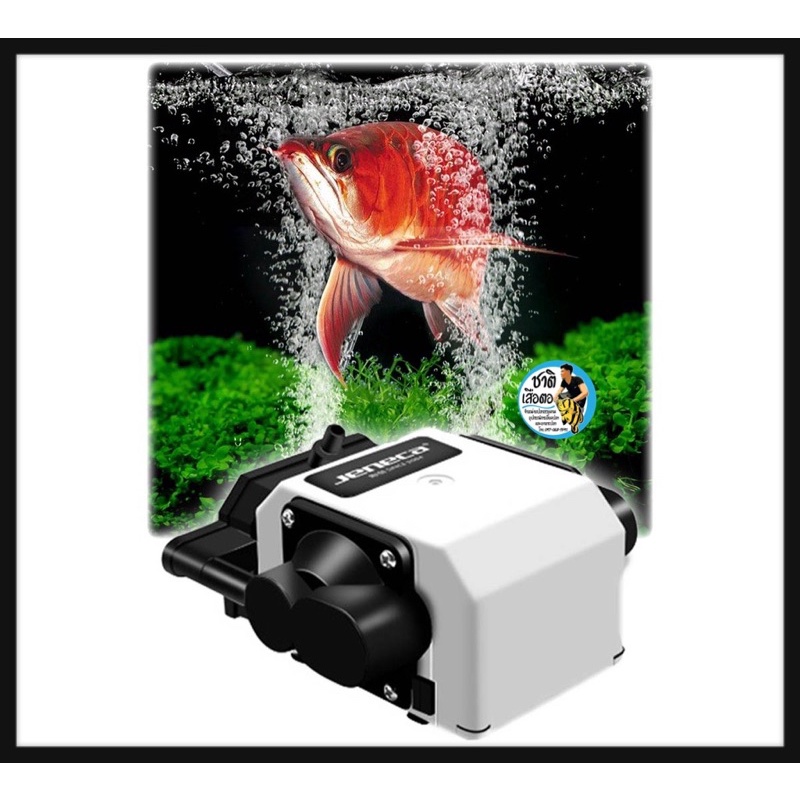 ปั๊มออกซิเจนให้ลมเยอะ พร้อมใช้งาน Air Pump Jeneca DB-58 แถมฟรี สายยาง 10m หัวทรายและวาล์วปรับลม อย่างละ 6ชิ้น - รูปที่ 3