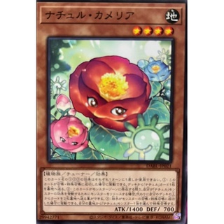 [DABL-JP021] Naturia Camellia (Common)