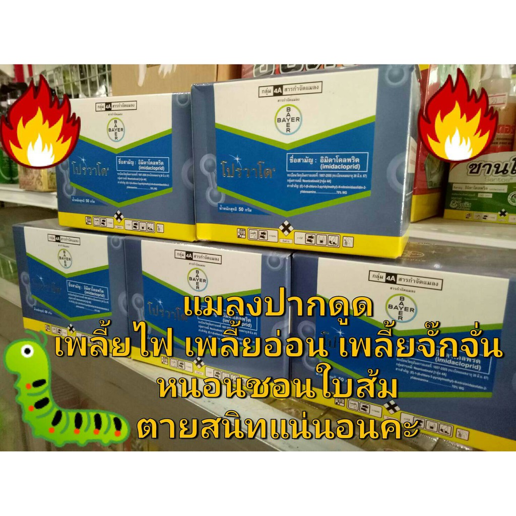 อัลบั้ม 97+ ภาพพื้นหลัง สารกําจัดเพลี้ยจั๊กจั่น และแมลงหวี่ขาว ความละเอียด 2k, 4k