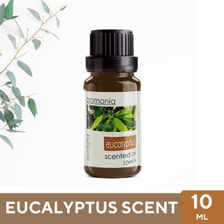 Aroma Oil น้ำมันหอมระเหย กลิ่นยูคาลิปตัส Eucalyptus ขนาด 10ml - น้ำมันอโรม่า Fragrance Oil ใช้กับเครื่องพ่นไอน้ำ