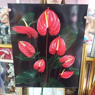 (สั่ง1ภาพ) ภาพเปล่า ดอกไม้ ขนาด 16x20 นิ้ว (40x50ซม.) ภาพคมชัด ไม่แตกเบลอ สีสวย สีสด