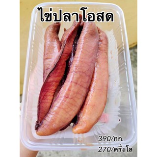 [ลูกค้าใหม่ 1 บาท] ไข่ปลาโอสด ใหม่ ไม่คาว