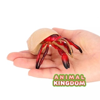 Animal Kingdom - โมเดลสัตว์ ปูเสฉวน ขาแดง ขนาด 10.80 CM (จากสงขลา)