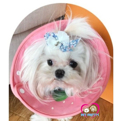 คอลล่ากันเลีย ไซส์ S รอบคอ18-30เซน แบบขอบนิ่มไม่บาดคอ ลายสตรอเบอร์รี (คอลล่าสุนัข คอลล่าหมา ปลอกคอกั