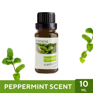 Aroma Oil น้ำมันหอมระเหย กลิ่นเปปเปอร์มิ้นท์ Peppermint ขนาด 10ml - น้ำมันอโรม่า Fragrance Oil ใช้กับเครื่องพ่นไอน้ำ