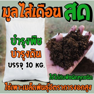 มูลไส้เดือนสด ขนาดบรรจุ 10 กิโลกรัม