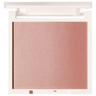 บลัชออนไล่เฉดสี PURE COLOUR BLUSH สี #102 SALMON BEIGE