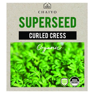 เมล็ดพันธุ์เครส ชัยโย 260 เมล็ด CURLED CRESS (ORGANIC) 260 SEEDS