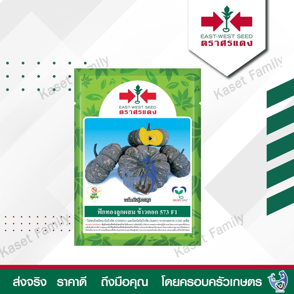 เมล็ดฟักทอง ข้าวตอก 573 F1 100g ตราศรแดง ฟักทองลูกผสม