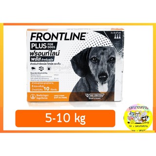 Frontline Plus สุนัข 5-10 กก