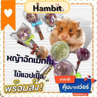 Hambit. อมยิ้มหญ้าแห้ง ขนมแฮมสเตอร์ ขนมกระต่าย ขัดฟันแฮมสเตอร์ ขัดฟันกระต่าย